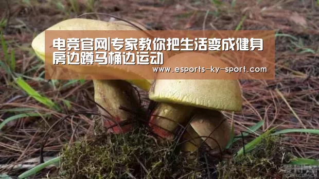 电竞官网|专家教你把生活变成健身房边蹲马桶边运动(图2) 开云电竞