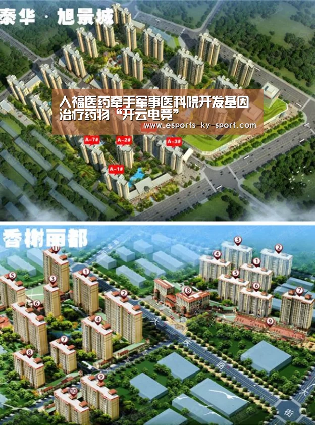 开云电竞