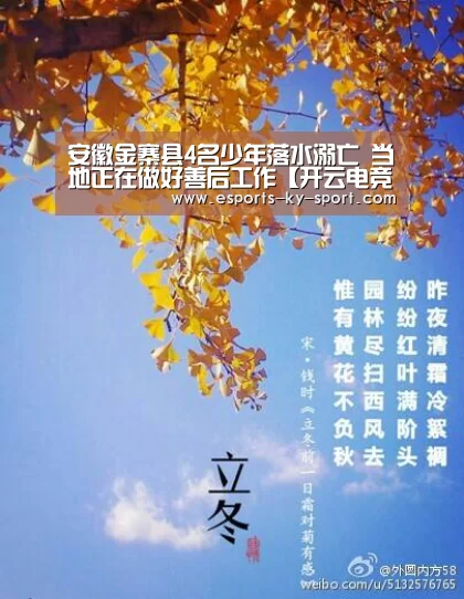  电竞官网