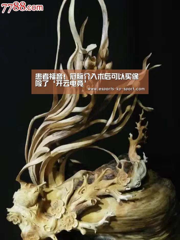 开云电竞