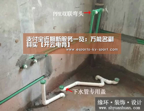 支付宝近期新服务一览:万能名副其实【开云电竞】(图1) 开云电竞