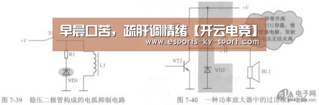 开云电竞