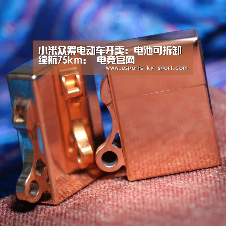 小米众筹电动车开卖:电池可拆卸续航75km: 电竞官网(图3) 电竞官网