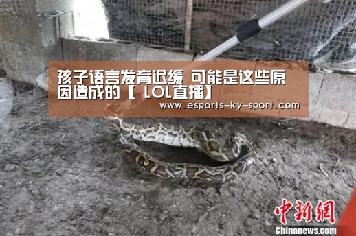 孩子语言发育迟缓 可能是这些原因造成的【 LOL直播】(图2) 开云电竞